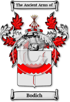Bodich Family Crest Download (jpg) Legacy Series - 150 DPI