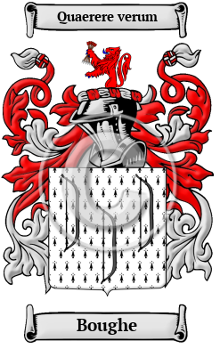 Boughe Family Crest/Coat of Arms