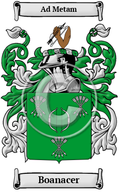 Boanacer Family Crest/Coat of Arms