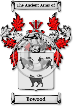 Bowood Family Crest Download (jpg) Legacy Series - 150 DPI