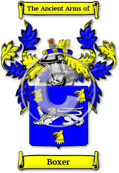 Boxer Family Crest Download (jpg) Legacy Series - 150 DPI