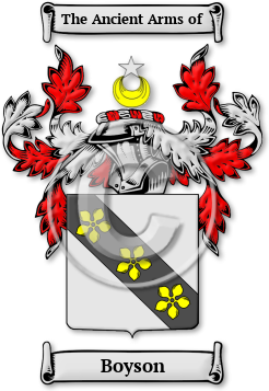 Boyson Family Crest Download (jpg) Legacy Series - 150 DPI