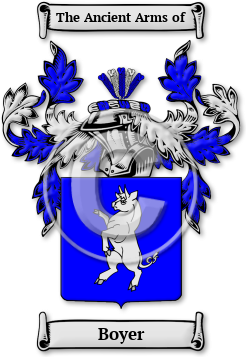 Boyer Family Crest Download (jpg) Legacy Series - 150 DPI