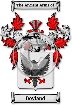 Boyland Family Crest Download (jpg) Legacy Series - 150 DPI