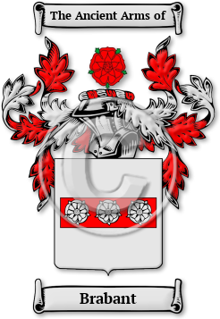 Brabant Family Crest Download (JPG) Legacy Series - 600 DPI