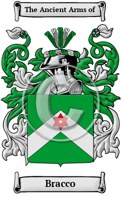 Bracco Family Crest/Coat of Arms
