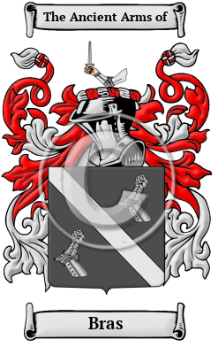 Bras Name Meaning, Family History, Family Crest & Coats of Arms