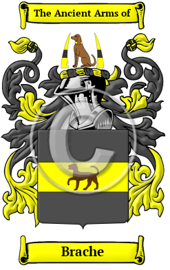 Brache Family Crest/Coat of Arms