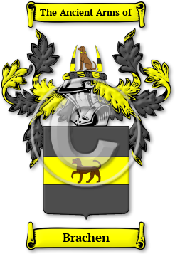 Brachen Family Crest Download (jpg) Legacy Series - 150 DPI