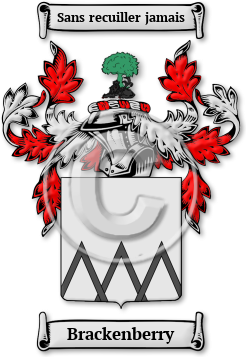 Brackenberry Family Crest Download (jpg) Legacy Series - 150 DPI
