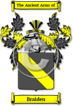 Braiden Family Crest Download (jpg) Legacy Series - 150 DPI