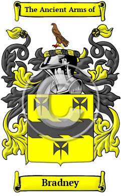 Bradney Family Crest/Coat of Arms