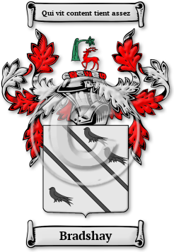 Bradshay Family Crest Download (jpg) Legacy Series - 150 DPI