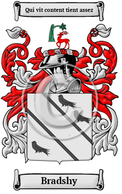 Bradshy Family Crest/Coat of Arms