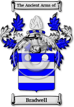 Bradwell Family Crest Download (jpg) Legacy Series - 150 DPI