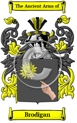 Brodigan Family Crest/Coat of Arms