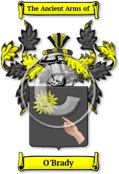 O'Brady Family Crest Download (JPG) Legacy Series - 600 DPI