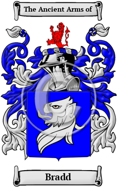 Bradd Family Crest/Coat of Arms