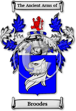 Broodes Family Crest Download (jpg) Legacy Series - 150 DPI