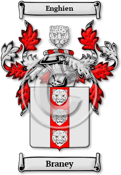 Braney Family Crest Download (jpg) Legacy Series - 150 DPI