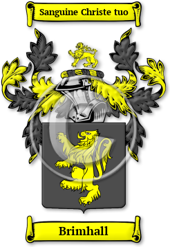 Brimhall Family Crest Download (jpg) Legacy Series - 150 DPI
