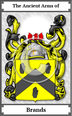 Brands Family Crest Download (JPG)  Book Plated - 150 DPI