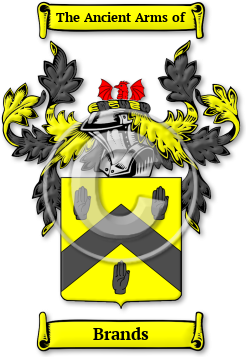 Brands Family Crest Download (jpg) Legacy Series - 150 DPI