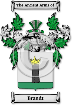 Brandt Family Crest Download (jpg) Legacy Series - 150 DPI