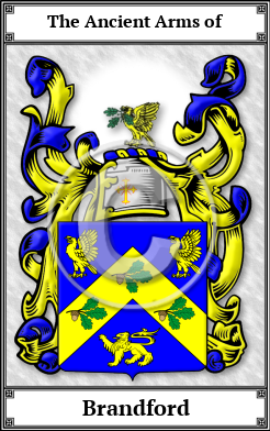 Brandford Family Crest Download (JPG) Book Plated - 600 DPI