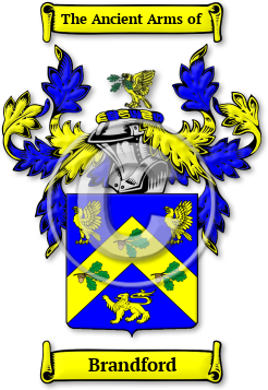 Brandford Family Crest Download (JPG) Legacy Series - 600 DPI