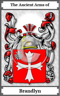 Brandlyn Family Crest Download (JPG)  Book Plated - 150 DPI