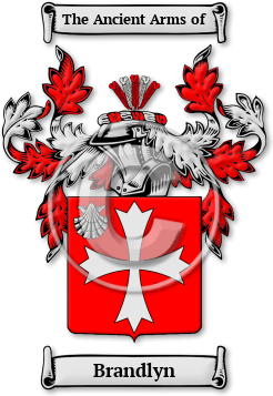 Brandlyn Family Crest Download (jpg) Legacy Series - 150 DPI