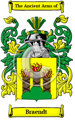 Braendt Name Meaning, Family History, Family Crest & Coats of Arms, German