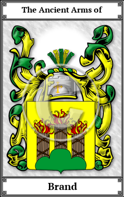 Brand Family Crest Download (JPG) Book Plated - 600 DPI