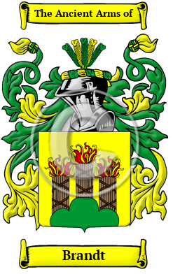 Brandt Family Crest/Coat of Arms