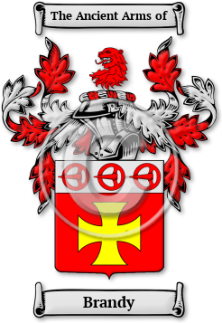 Brandy Family Crest Download (jpg) Legacy Series - 150 DPI