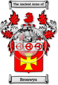 Bronwyn Family Crest Download (JPG) Legacy Series - 600 DPI