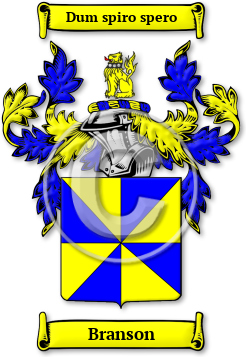 Branson Family Crest Download (jpg) Legacy Series - 150 DPI
