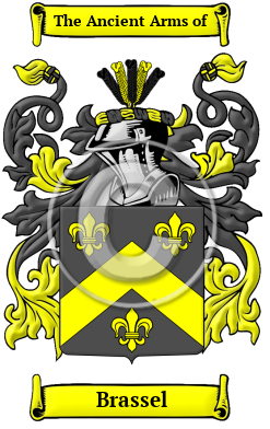 Brassel Family Crest/Coat of Arms