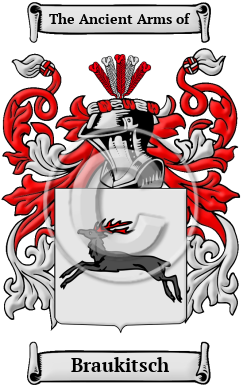 Braukitsch Family Crest/Coat of Arms