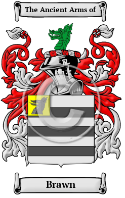 Brawn Family Crest/Coat of Arms