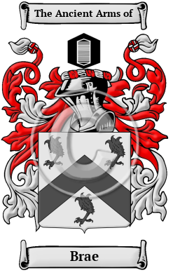 Brae Family Crest/Coat of Arms