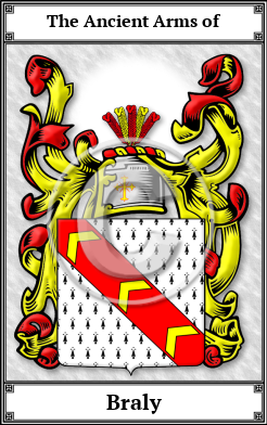Braly Family Crest Download (JPG)  Book Plated - 150 DPI