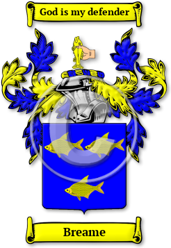 Breame Family Crest Download (jpg) Legacy Series - 150 DPI