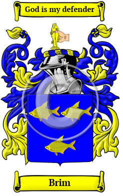 Brim Family Crest/Coat of Arms