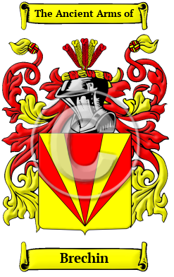 Brechin Family Crest/Coat of Arms