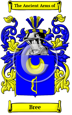 Bree Name Meaning, Family History, Family Crest & Coats of Arms, Dutch