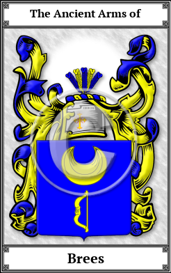 Brees Family Crest Download (JPG)  Book Plated - 150 DPI