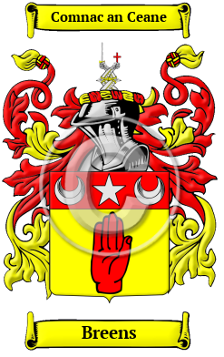 Breens Family Crest/Coat of Arms