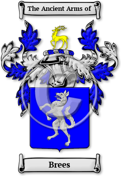 Brees Family Crest Download (jpg) Legacy Series - 150 DPI